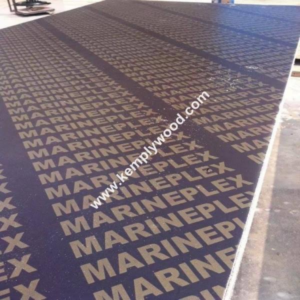 Quality 4x8feet top quality brown film faced plywood, 18mm shuttering plywood, marine plywood for sale