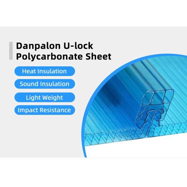 Composite Co Extrusion U-LOCK Panel Colored Transparent Hollow Board For Danpalon Polycarbonate Facade Double Hook Panel
