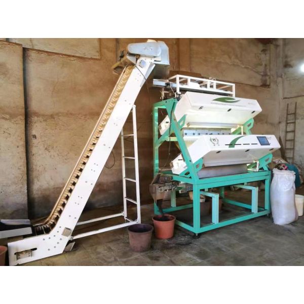 High Accuracy Tea Color Sorter Machine Optical Sorting Solution Quickly Remove Tea Stems Seeds