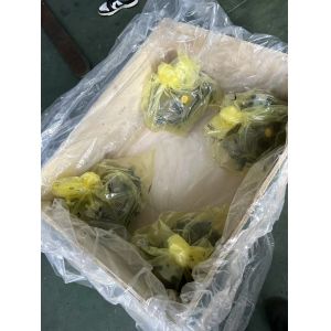 Buy cheap Rexroth A10VSO140DR High Pressure Hydraulic Pump 315 Bar product