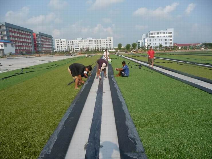 Waterproof Artificial Grass Carpet / Green Artificial Turf Carpet SGS