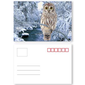 Buy cheap Custom Restaurant Animation 0.35mm 3D Lenticular Card product