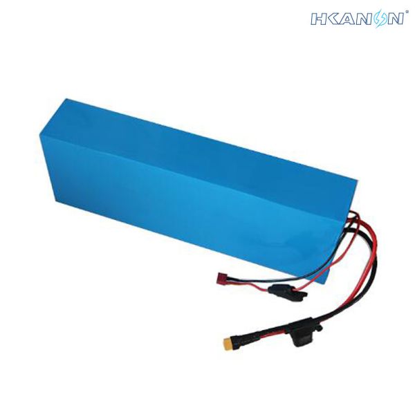 Rechargeable Lithium Ion Electric Bicycle Lithium Battery Phylion Akku Xh25910j With BMS