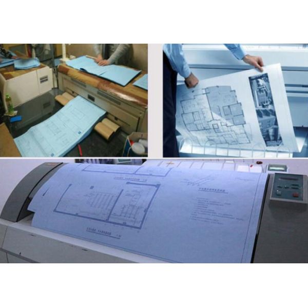 80GSM A0 A1 20LB Blue Printing Plotter Paper For Architecture Drawing 80GSM A0 A1 20LB Blue Printing Plotter Paper For Architecture Drawing