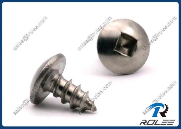Quality Passivated Stainless Steel 410 Square Drive Truss Head Sheet Metal Screws for sale