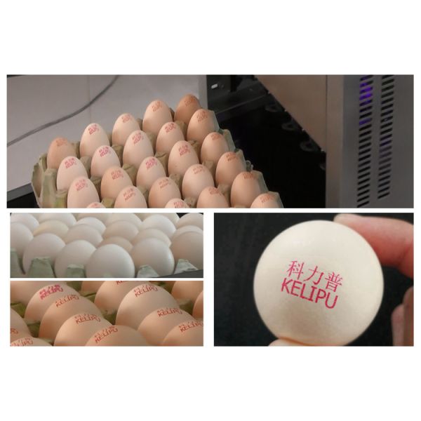 Egg Continuous Inkjet Printer for Date / Serial No / Batch code / Logo