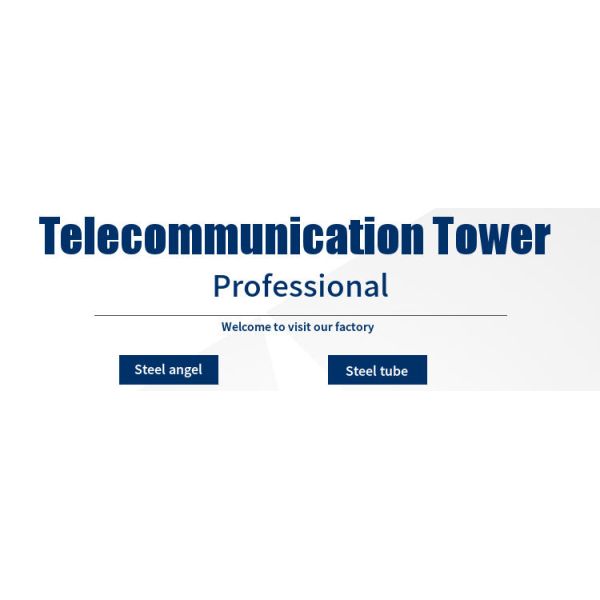 Customized Galvanized Single Tube Telecommunication Antenna Wifi Monopole