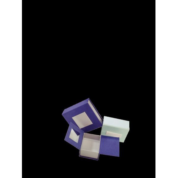 Customized Automatic Box Packing Machine Stable Converter CE Certification