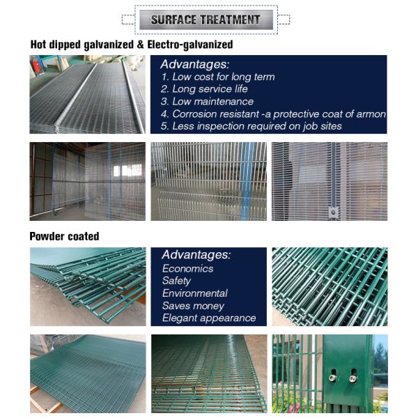 Green Color PVC Coated Welded Wire Mesh Panels/PVC Coated Prison 358 Security Fencing export to malaysia ,