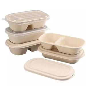 Hotel Biodegradable Compostable Sugarcane Container 100C Fast Food Takeaway