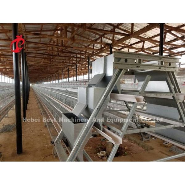 Automatic Layer 160 Birds Chicken Battery Cage For Poultry Farm Emily