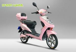 China 32km/H E Bikes With Both Pedal Assist And Throttle 48V 12Ah Removable Battery on sale