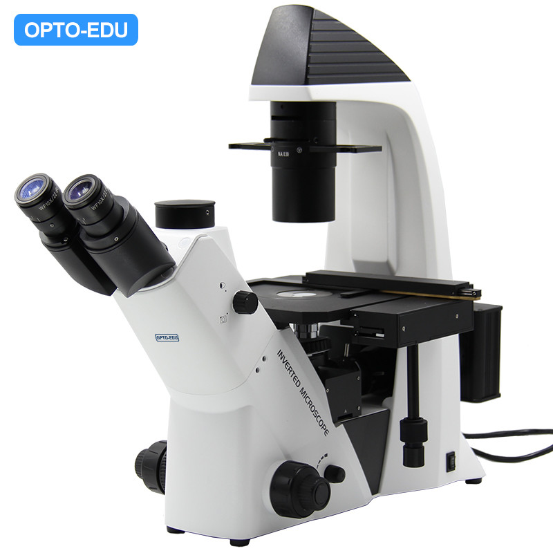 Buy cheap Opto-Edu A14.2603 Inverted Optical Microscope Trinocular Phase Contrast product