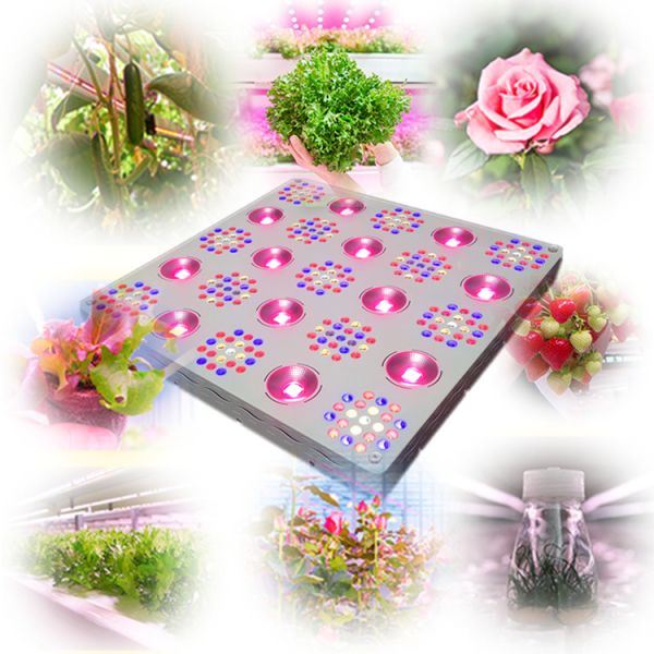 2500W Dimmable LED Grow Lights Durable Longer Lifespan Built In Controller