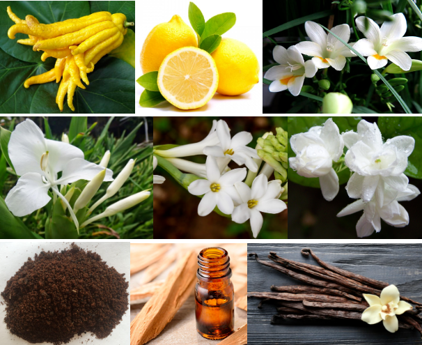 Popular Scented Candles Ginger Flower Fragrance Essence Fruity Scent Type