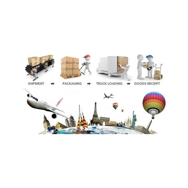 Beautiful Preserving Eucalyptus Foliage Dry Desmodium For Craft