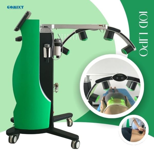Gomecy Vertical 10D Laser Lipo Green Light MLD Equipment for Body Shaping Fat Burning