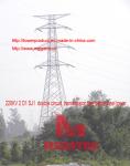 MEGATRO 220KV 2 D1 SJ1 double circuit transmission line lattice steel tower